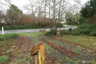 905 Wawona Ave SW, Ocean Shores, WA 98569 - Photo 22