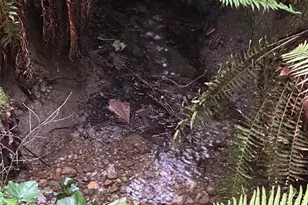 7401 86th St E, Puyallup, WA 98371 - Photo 10