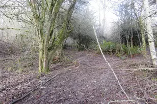 4223 Johnson Point Rd NE, Olympia, WA 98516 - Photo 1