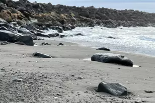 117 N Wynoochee Dr SW, Ocean Shores, WA 98569 - Photo 18