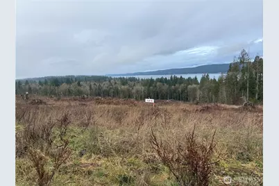 6 Track Rimstone Loop, Belfair, WA 98528 - Photo 2