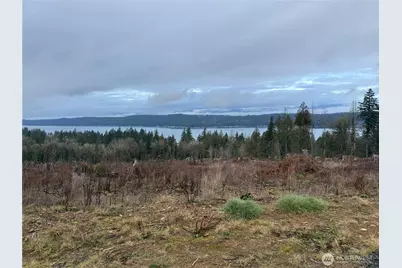 7 Track Rimstone Loop, Belfair, WA 98528 - Photo 2