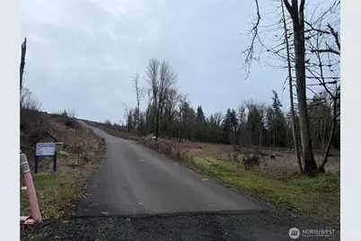 9 Track Rimstone Loop, Belfair, WA 98528 - Photo 4