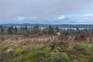 11 Track Rimstone Loop, Belfair, WA 98528 - Photo 1