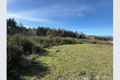 1 Parcel E Johnson Ridge Road, Belfair, WA 98528 - Photo 4