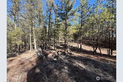 171 Garrett, Tonasket, WA 98855 - Photo 12