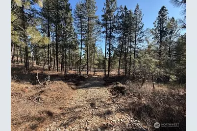 171 Garrett, Tonasket, WA 98855 - Photo 24