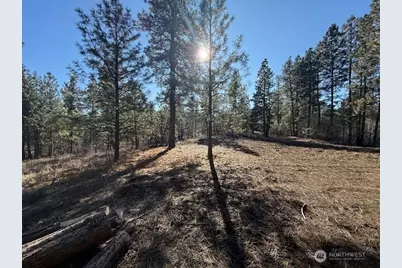 171 Garrett, Tonasket, WA 98855 - Photo 26