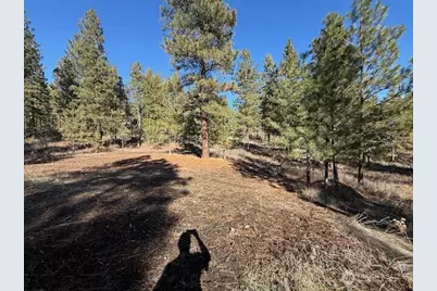 171 Garrett, Tonasket, WA 98855 - Photo 28