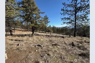 171 Garrett, Tonasket, WA 98855 - Photo 18