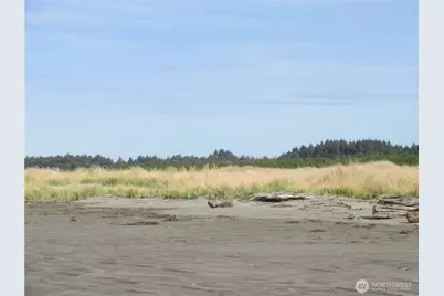 0 Driftwood Dr Drive, Ocean Shores, WA 98569 - Photo 10
