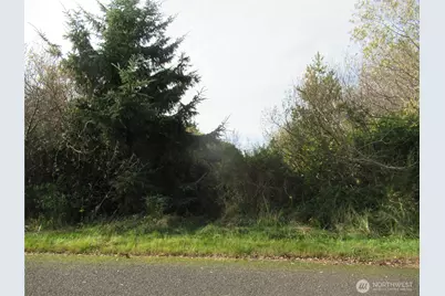 0 Driftwood Dr Drive, Ocean Shores, WA 98569 - Photo 4