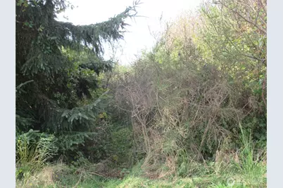 0 Driftwood Dr Drive, Ocean Shores, WA 98569 - Photo 6