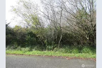 0 Driftwood Dr Drive, Ocean Shores, WA 98569 - Photo 8