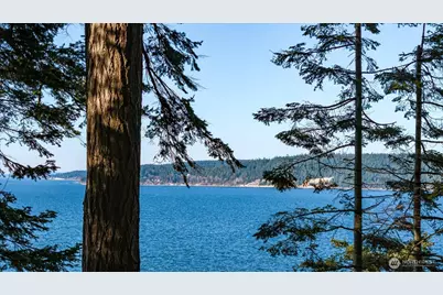 3155 Fox Spit Road, Langley, WA 98260 - Photo 28