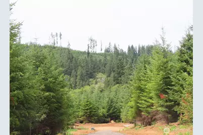 0 Lot D Mill Creek Lane, Longview, WA 98632 - Photo 2