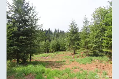 0 Lot D Mill Creek Lane, Longview, WA 98632 - Photo 10