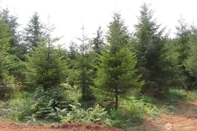 0 Lot D Mill Creek Lane, Longview, WA 98632 - Photo 1