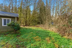 4617 125th Ave SE, Bellevue, WA 98006 - Photo 8