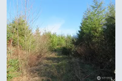 1478 Xxx E Hoquiam Road, Hoquiam, WA 98550 - Photo 16