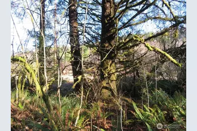 1478 Xxx E Hoquiam Road, Hoquiam, WA 98550 - Photo 26