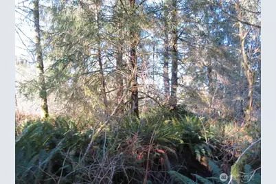 1478 Xxx E Hoquiam Road, Hoquiam, WA 98550 - Photo 8