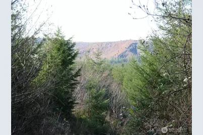 1478 Xxx E Hoquiam Road, Hoquiam, WA 98550 - Photo 4