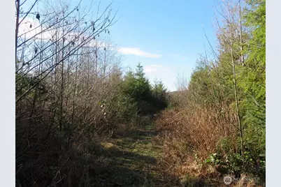 1478 Xxx E Hoquiam Road, Hoquiam, WA 98550 - Photo 14