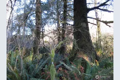 1478 Xxx E Hoquiam Road, Hoquiam, WA 98550 - Photo 2