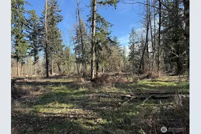 33507 84th Avenue E, Eatonville, WA 98328 - Photo 8