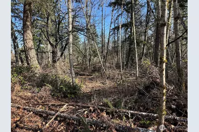 33507 84th Avenue E, Eatonville, WA 98328 - Photo 16