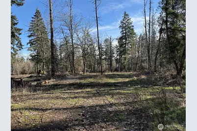 33507 84th Avenue E, Eatonville, WA 98328 - Photo 10