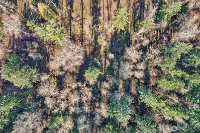 33507 84th Avenue E, Eatonville, WA 98328 - Photo 26