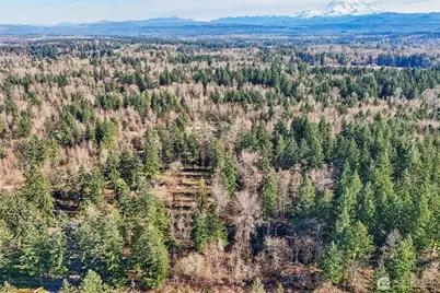 33507 84th Avenue E, Eatonville, WA 98328 - Photo 30