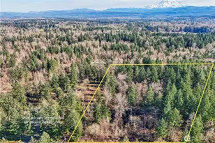 33507 84th Ave E, Eatonville, WA 98328 - Photo 1