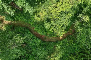 7717 252nd Ave NE, Redmond, WA 98053 - Photo 36