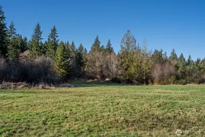 14647 Case Road SW, Rochester, WA 98579 - Photo 4