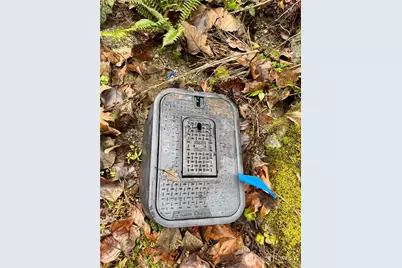 64315 Lookout Mountain Loop #170, Marblemount, WA 98267 - Photo 8