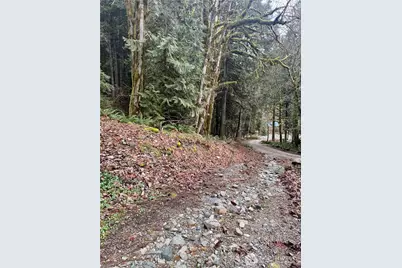 64315 Lookout Mountain Loop #170, Marblemount, WA 98267 - Photo 10