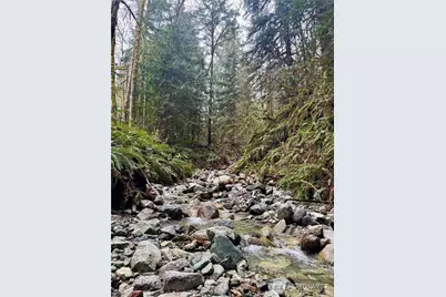 64315 Lookout Mountain Loop #170, Marblemount, WA 98267 - Photo 8