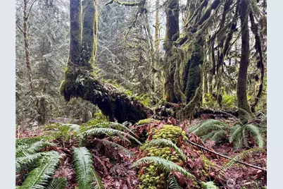 64315 Lookout Mountain Loop #170, Marblemount, WA 98267 - Photo 22