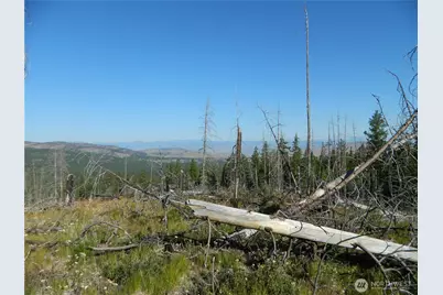 0 Tbd Stage Coach Trail, Riverside, WA 98849 - Photo 10