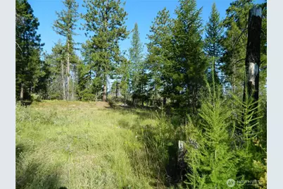 0 Tbd Stage Coach Trail, Riverside, WA 98849 - Photo 18