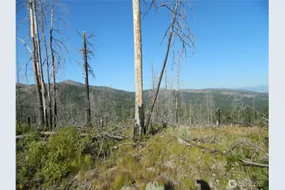 0 Tbd Stage Coach Trail, Riverside, WA 98849 - Photo 4