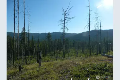 0 Tbd Stage Coach Trail, Riverside, WA 98849 - Photo 8