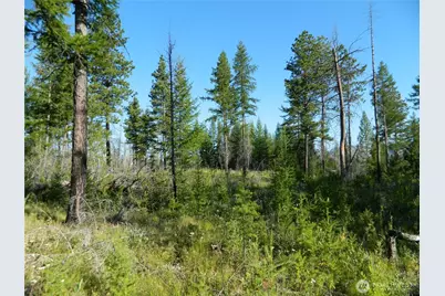 0 Tbd Stage Coach Trail, Riverside, WA 98849 - Photo 16