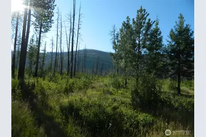 0 Tbd Stage Coach Trail, Riverside, WA 98849 - Photo 26