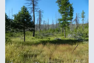 0 Tbd Stage Coach Trail, Riverside, WA 98849 - Photo 28