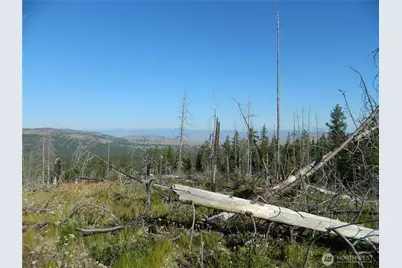 0 Tbd Stage Coach Trail, Riverside, WA 98849 - Photo 2