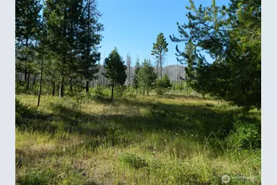 0 Tbd Stage Coach Trail, Riverside, WA 98849 - Photo 24